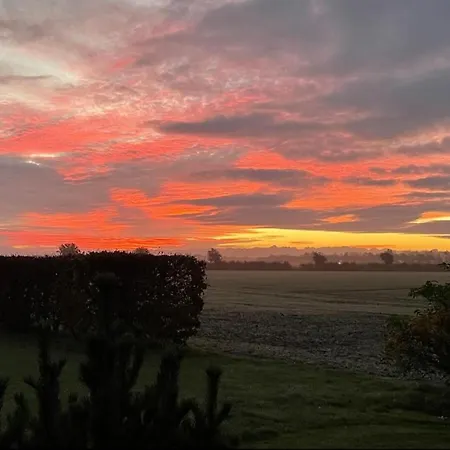 Kieferneck * Petersdorf auf Fehmarn
