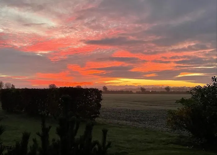 Kieferneck * Petersdorf auf Fehmarn